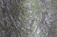 Kinmylies fibreglass roof work